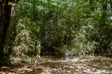 Parc de Mandavit de Gradignan (10).